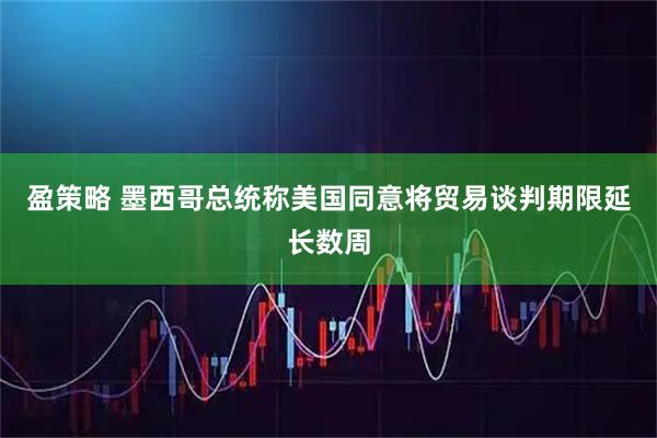 盈策略 墨西哥总统称美国同意将贸易谈判期限延长数周