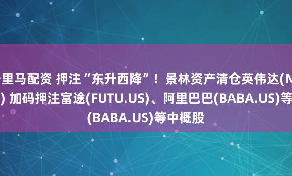 千里马配资 押注“东升西降”！景林资产清仓英伟达(NVDA.US) 加码押注富途(FUTU.US)、阿里巴巴(BABA.US)等中概股