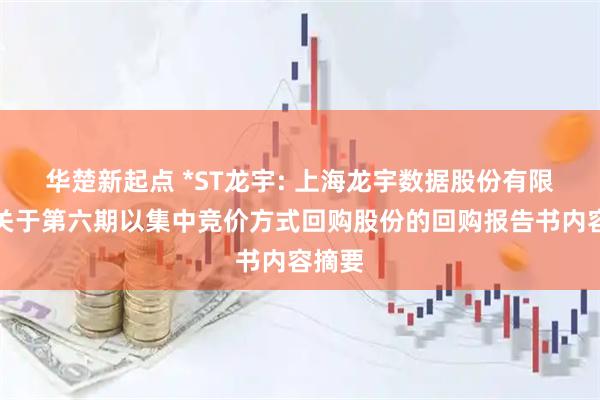 华楚新起点 *ST龙宇: 上海龙宇数据股份有限公司关于第六期以集中竞价方式回购股份的回购报告书内容摘要